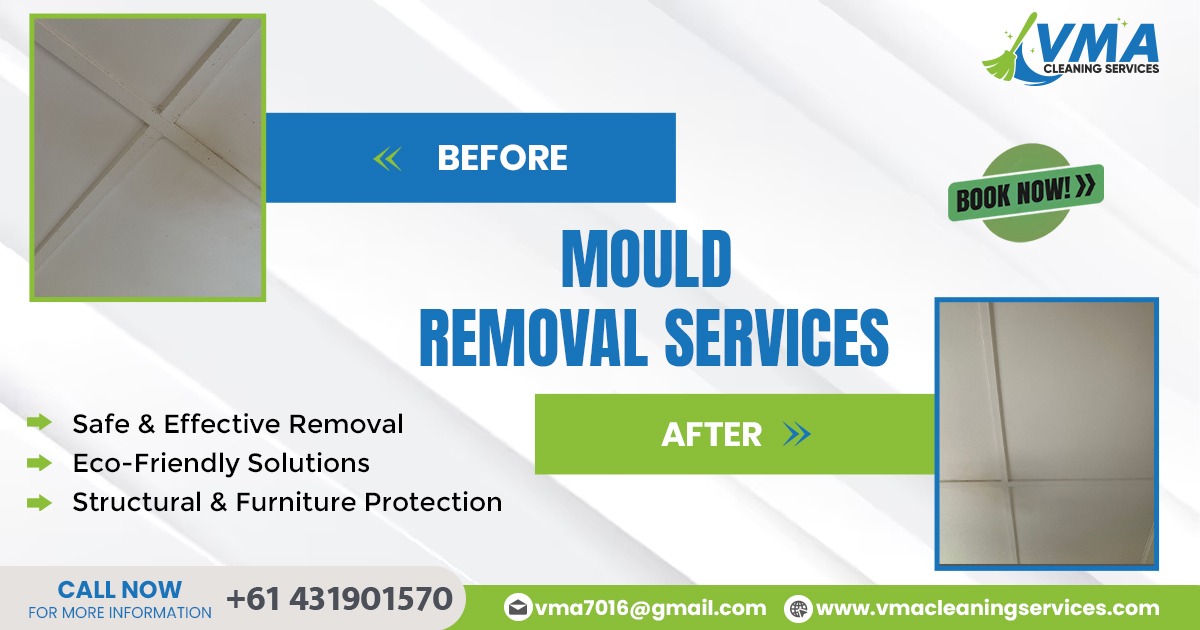 Professional Mould Removal Services in Toowoomba